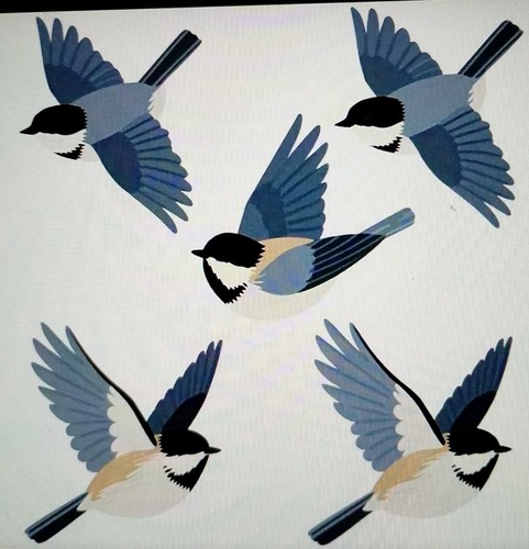 Flying blue birds - flying,