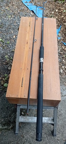 Carbon spinning rod - spinning, daiwa