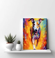 Greyhound Dog Colourful Animal