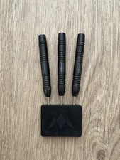 24g Tungsten Darts Raymond Van