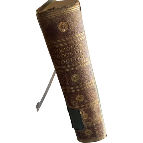 Wright book poultry - book,