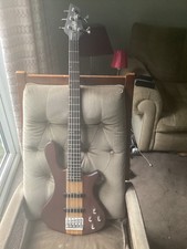 Washburn Taurus T25 5 string