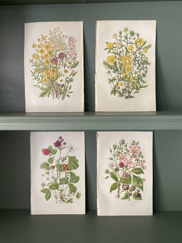Set medium size - set, of