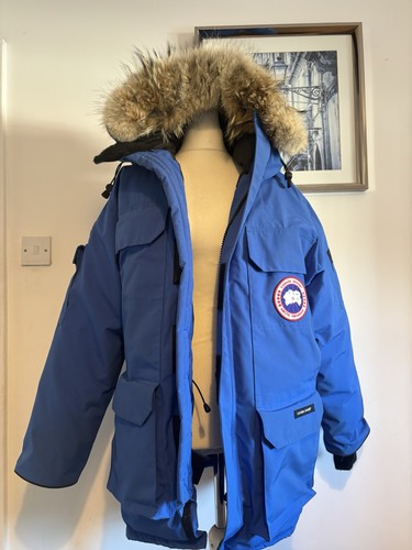 Canada goose blue - blue, expedition