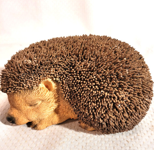Vivid arts baby - vivid, hedgehog