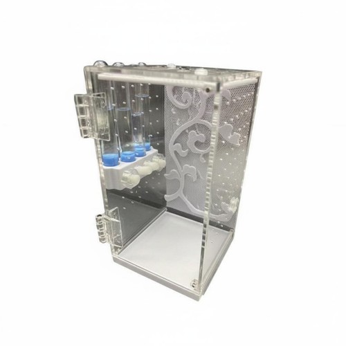 Mantis breeding box high - mantis,