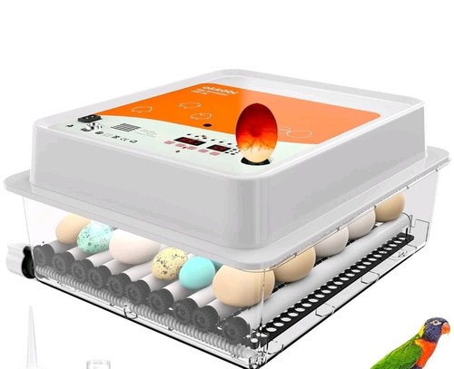 Okköbi obi egg incubator - okköbi,