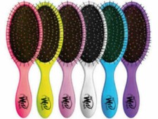 New the Wet Brush Professional