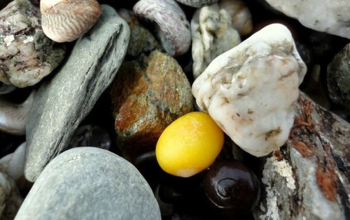 Natural bright yellow - 50, sea