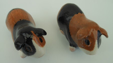 Quail Pottery Guinea Pig cruet