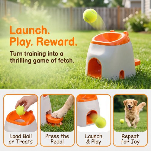 Interactive dog toy - in,
