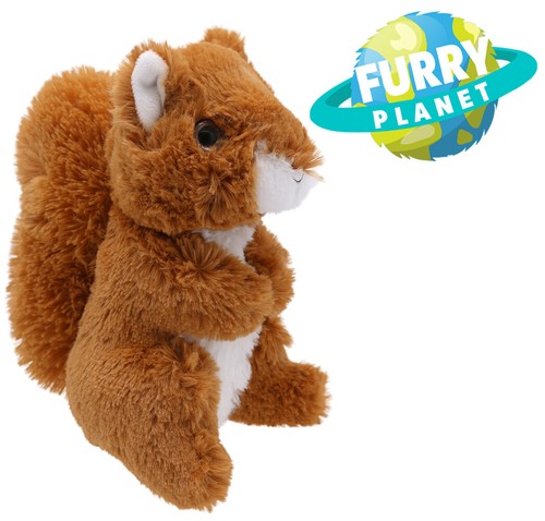 Squirrel soft toy - plush, animal