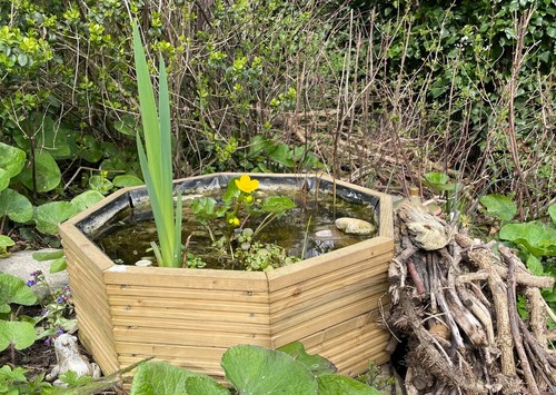 Small raised garden pond - small,