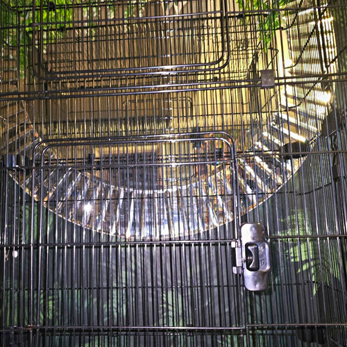 Chatsworth large rodent - chatsworth,