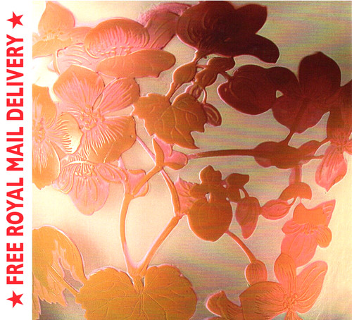 Greetings card begonias blank - begonias,