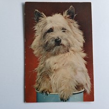 ‘WHERE’S MY BONE’ –