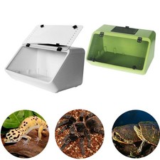 Turtles Tank Aquarium