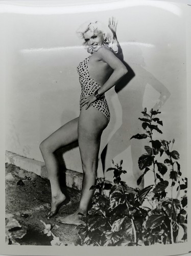 Jayne mansfield - jayne,