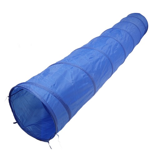 Dog agility tunnel play - agility,