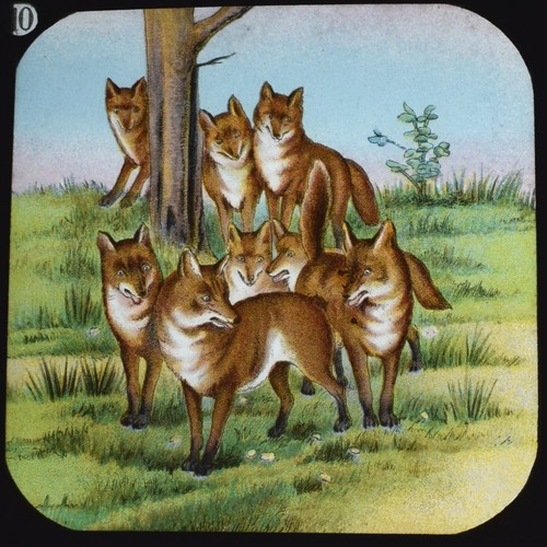 Magic lantern slide - magic,