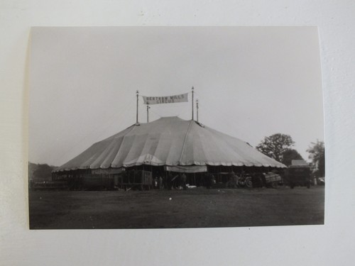 Bertram mills circus show - bertram,