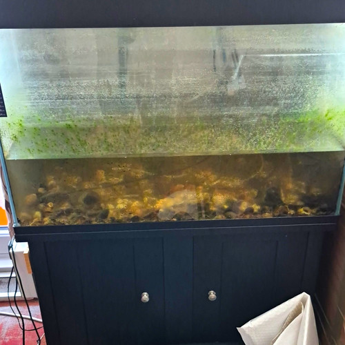 Glass rectangular fish tank - glass,