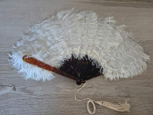 Vintage ostrich feather fan - vintage,