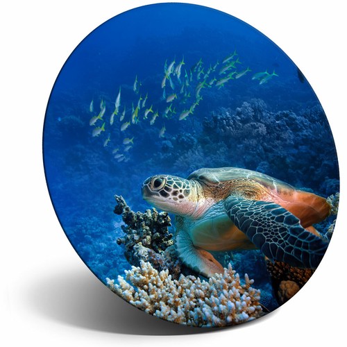 Awesome fridge magnet sea - magnet,