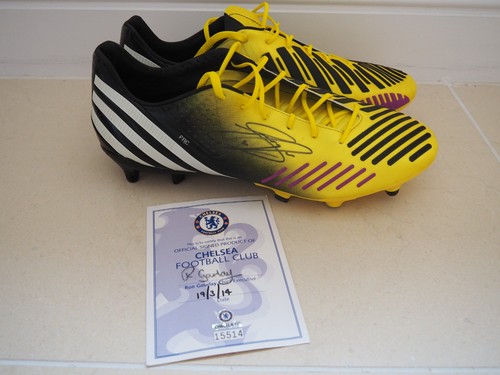 Gary cahill chelsea player - cahill,