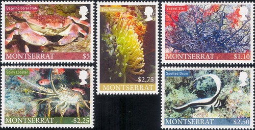 Montserrat 2010