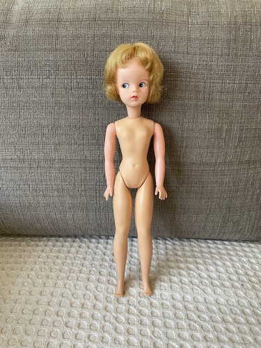 1963 sindy doll - doll, in