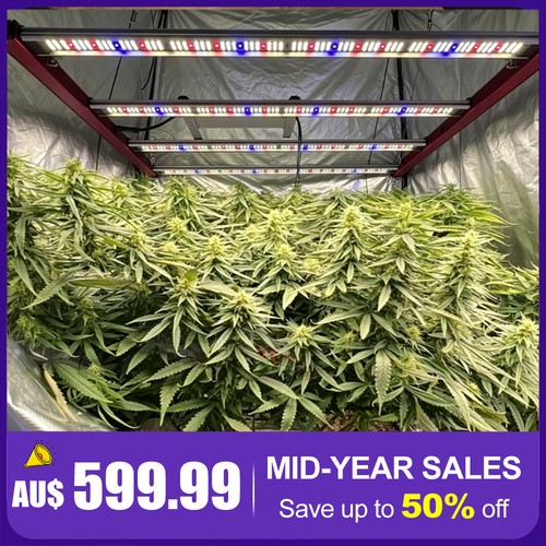 Commercial grade 4800w - grade,