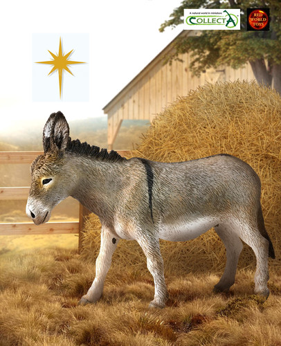 Grey donkey farm - farm, nativity