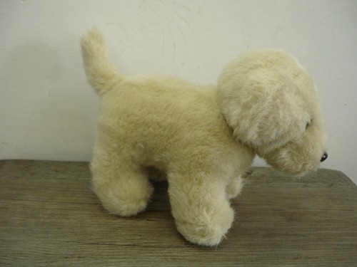 Cute adorable cream - cute,