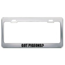 Got Pigeons? Animals Pets