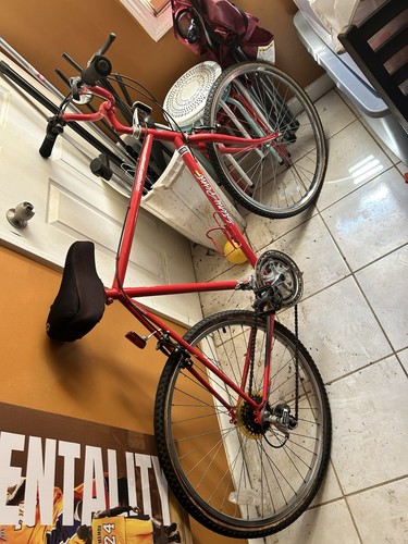 Vintage stony point mountain - vintage,