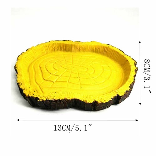 Tortoise feeding bowl - tortoise,