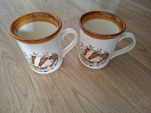 Vintage 1970s biltons mugs - x,