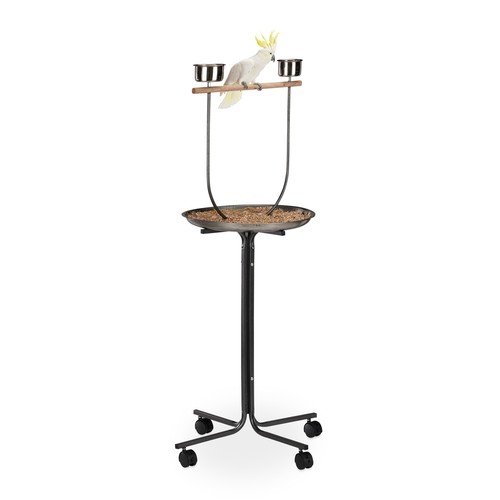 Bird activity centre - , parrot