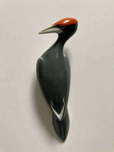 Royal dux woodpecker - royal,