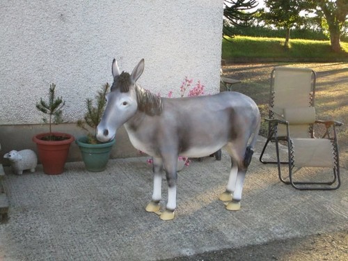 Life size andalusian - life-size,