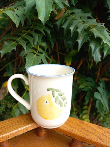 Poole pottery dorset fruits - poole,