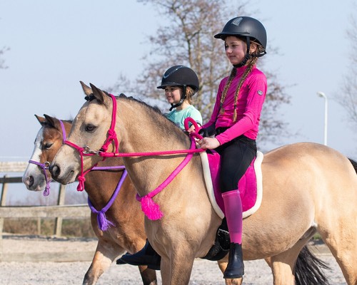 Qhp bareback pads - bareback,