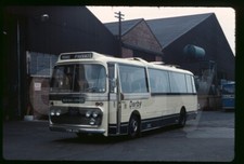 Original Coach Slide - Derby