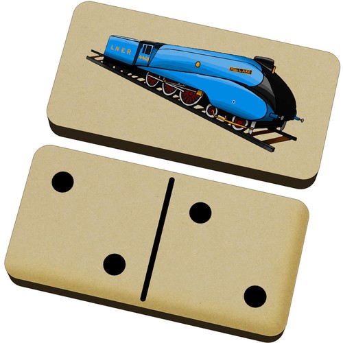 Mallard steam train - 'mallard,