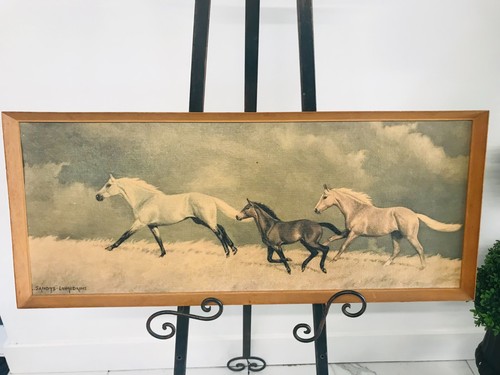 Fleet foot horses galloping - foot,