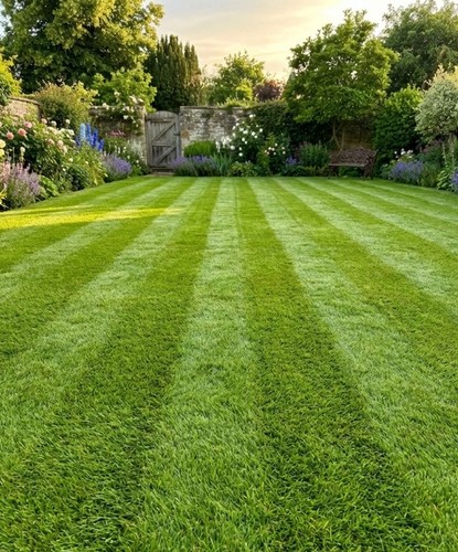 5kg cm1 hardwearing - 5kg, grass