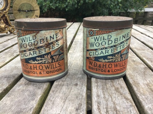 1885 wild woodbine - 50‘wild,
