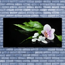 Canvas print Wall art on 140x70 Image Picture Flower Stones Leaves Floral