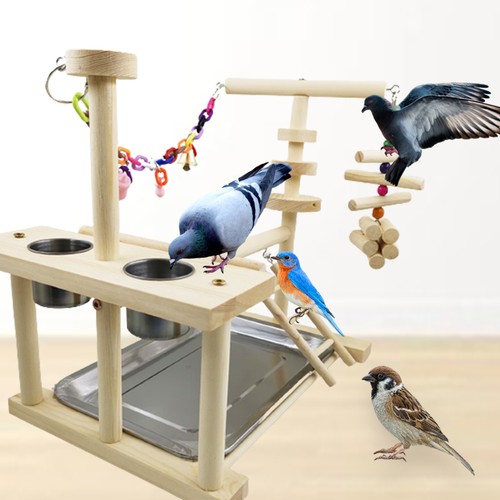 Wood pet parrot - pet, playstand